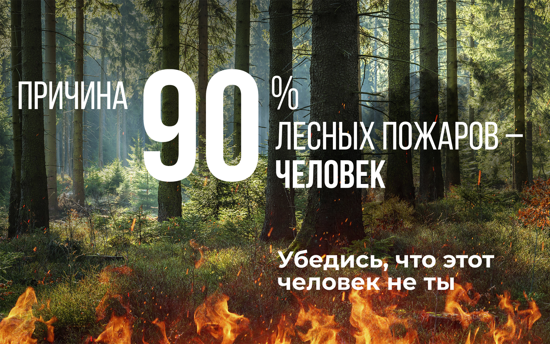берегилес